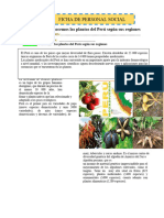5 FICHA DIA 01 - PS - Conocemos Las Plantas Del Perú Según Sus Regiones