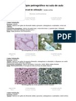 Microscópio Petrográfico-Rochas Sedimentares