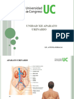 Modulo Xii Aparato Urinario