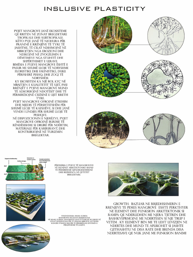 Paneli 1 Print | PDF
