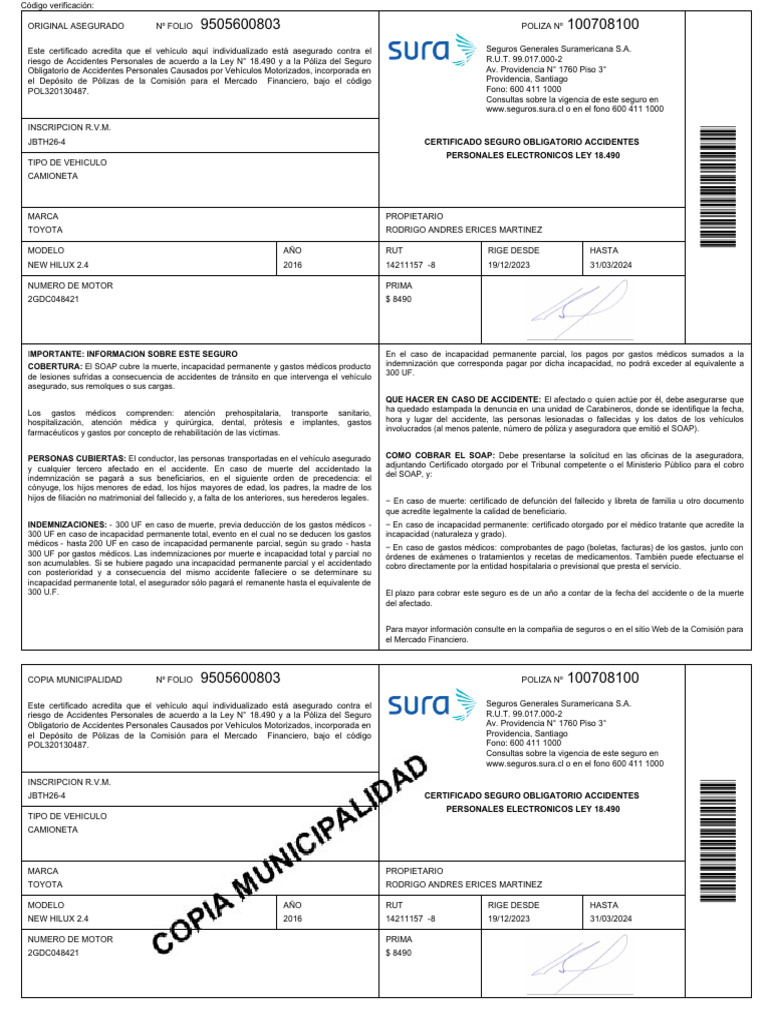 Po liza individual pdf