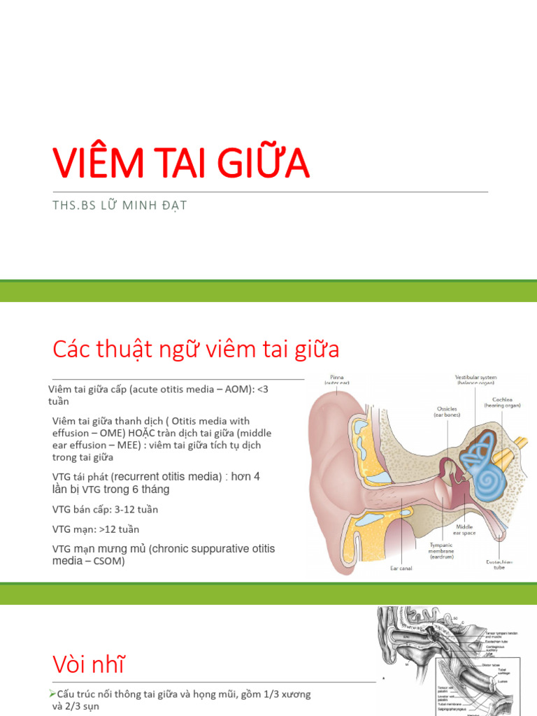 Viêm Tai Giữa | PDF