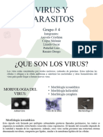 Virus y Parasitos. Grupo#4