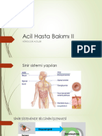 Si̇ni̇r Si̇stemi̇ Hastaliklarinda Aci̇l Bakim