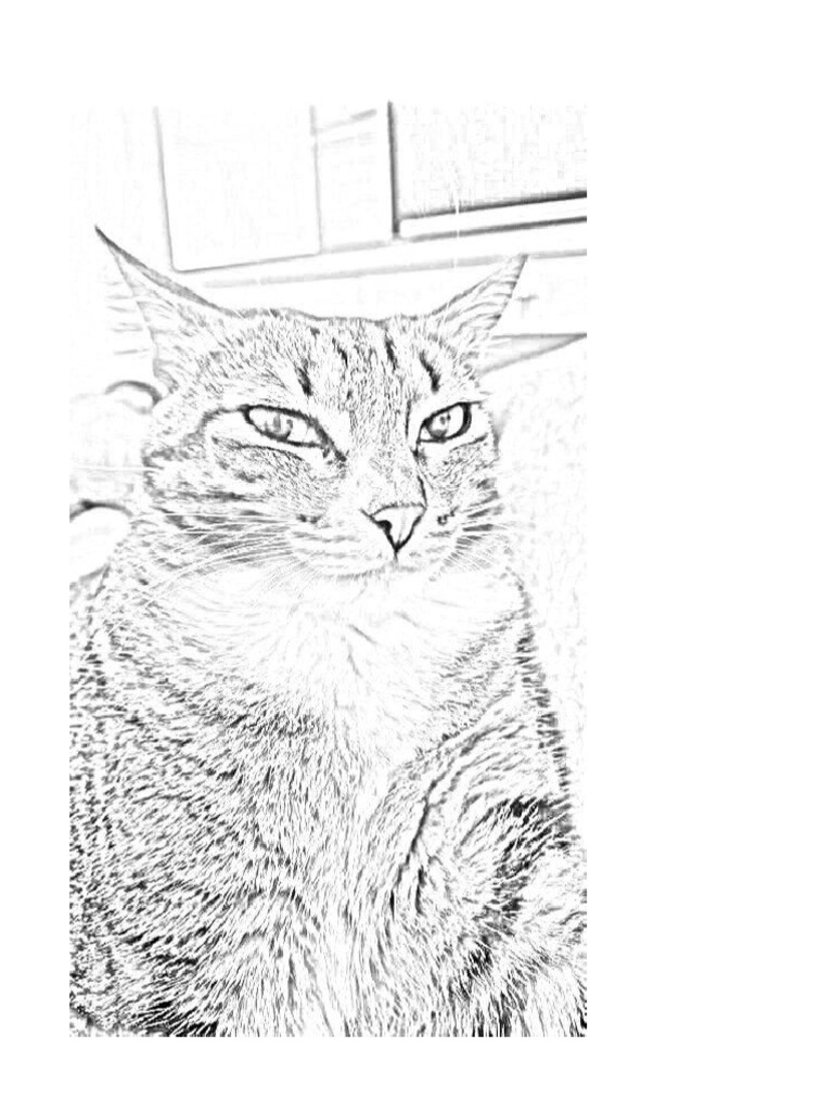 Document pdf