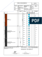 Perfil Estratigráfico