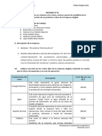 Formato Informe #10