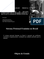 Imersão Na Realidade Prisional Feminina - TCC