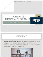 Narguilé Biologia