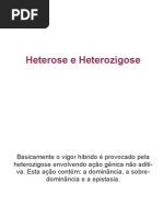 heterose e heterozigose