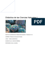 ACTIVIDAD - Reflexiones Sobre Contaminación