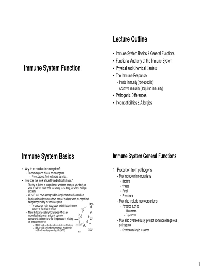 Immune System Function Mayo Clinic