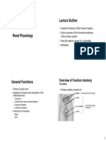 Renal Phsyiology