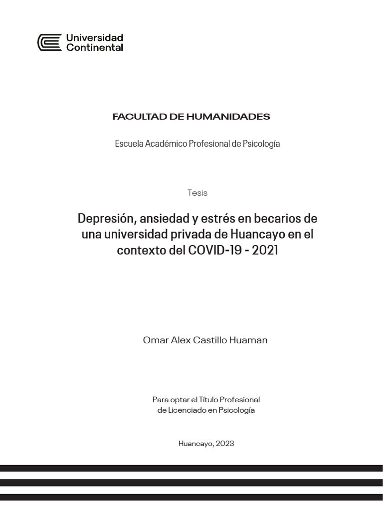 Informe Final De Tesis Castillo Huaman Omar Alex Pdf Depresión