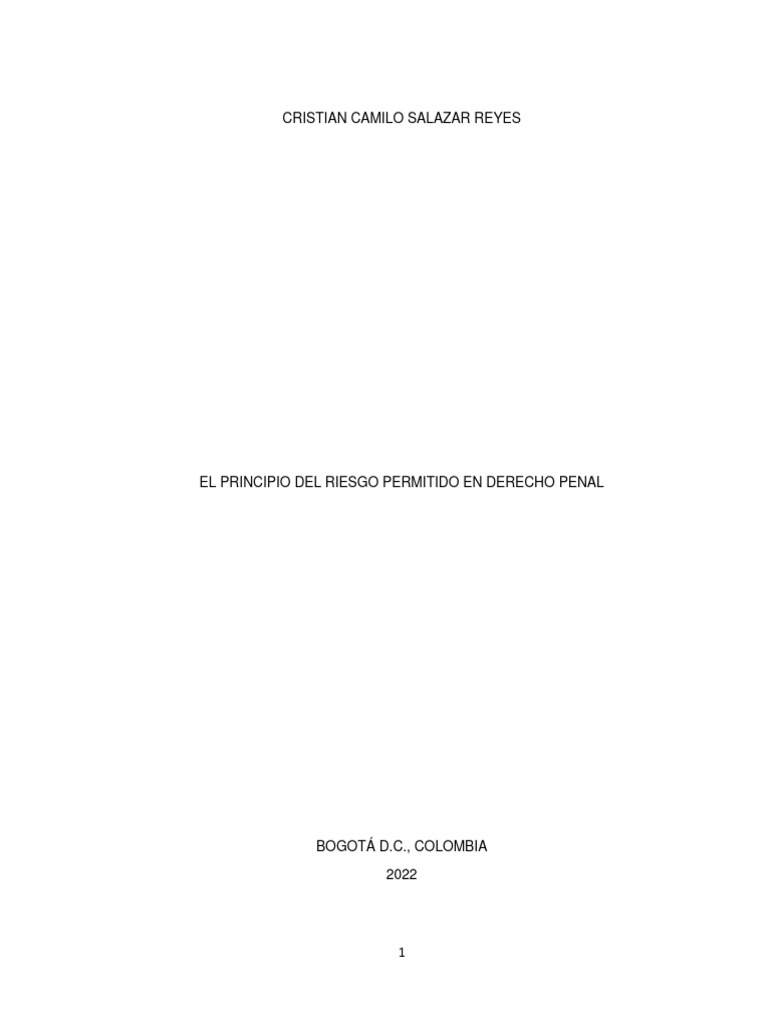 Riesgo Permitido | PDF
