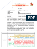 Prog. Anual DPCC VII-Ciclo 4to.