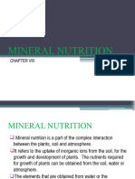 Chapter 9 Mineral Nutrition