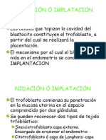 Anidación Ó Implatación