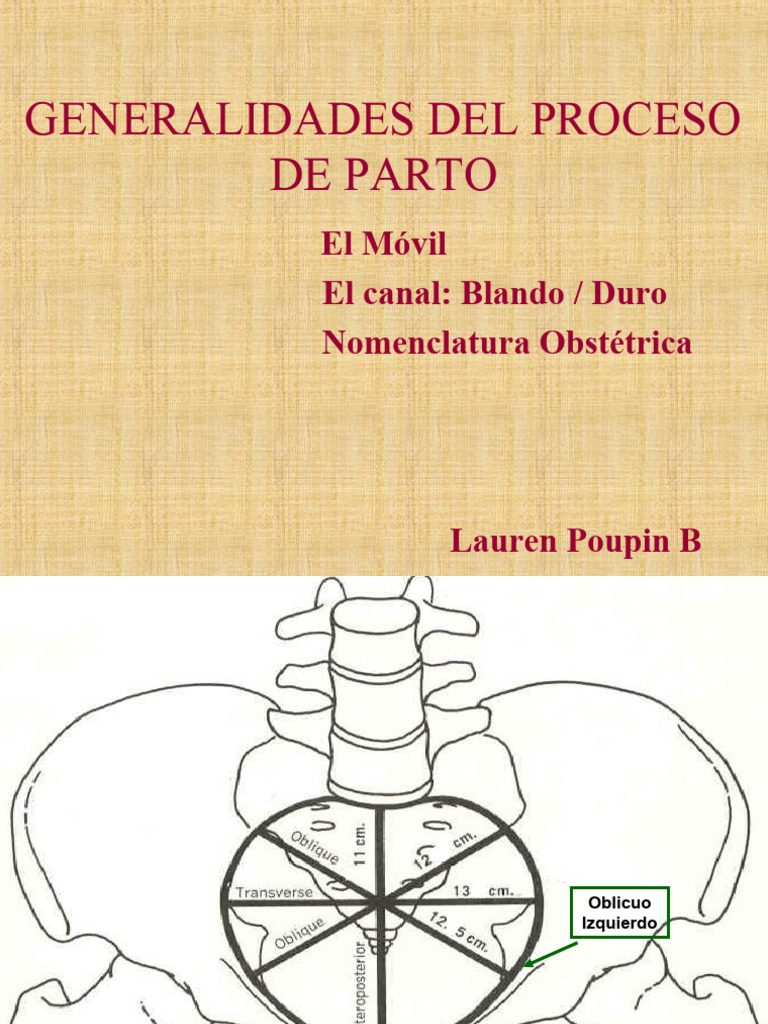 Planos de hodge pdf