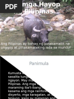 Download Ang Mga Hayop Sa Pilipinas Animals in the Philippines-Filipino Version by Zach SN69394919 doc pdf