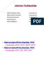 Biosintesis Nukleotida