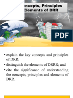 Key Concepts, Principles, and Elements of DRR