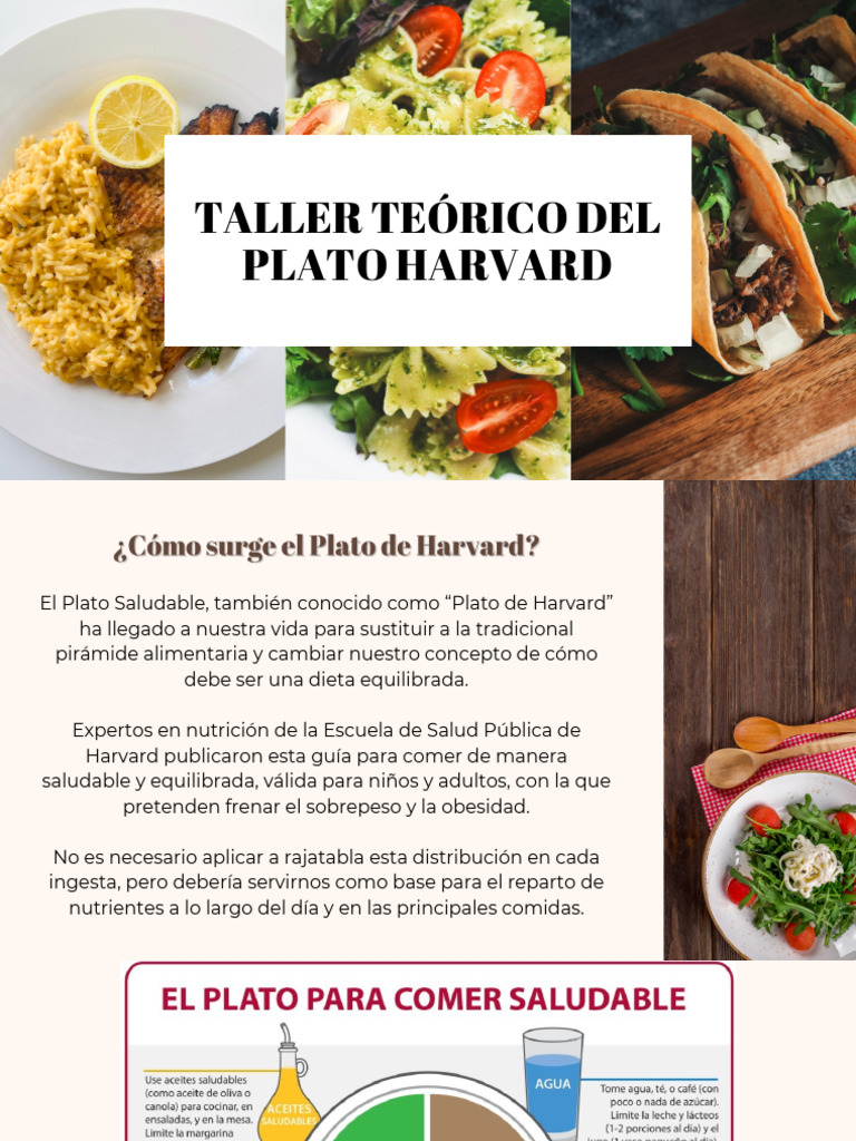 Crítica al Plato de Harvard  Podcast El Alimentólogo - Alimentologia