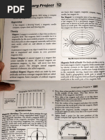 Magnetic Field Patterns Investigation | PDF | Compass | Magnetic Field