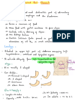 Abdominal Part - Stomach