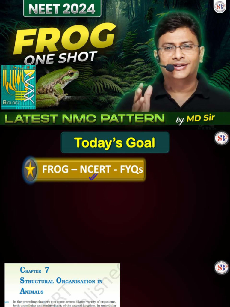 Frog One Shot | PDF