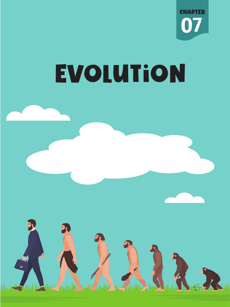 Evolution PDF Natural Selection Evolution