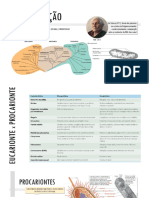 resumo - procariontes