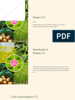 Slide Ecologia - plantas c3