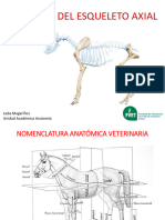S 1 - Osteología Del Esqueleto Axial