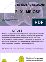Processo de Divisão Celular - Mitose X Meiose