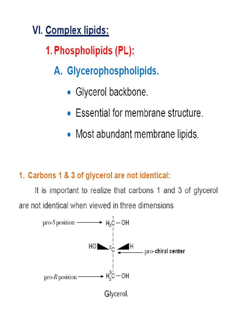 Lipids Part 3&4 | PDF
