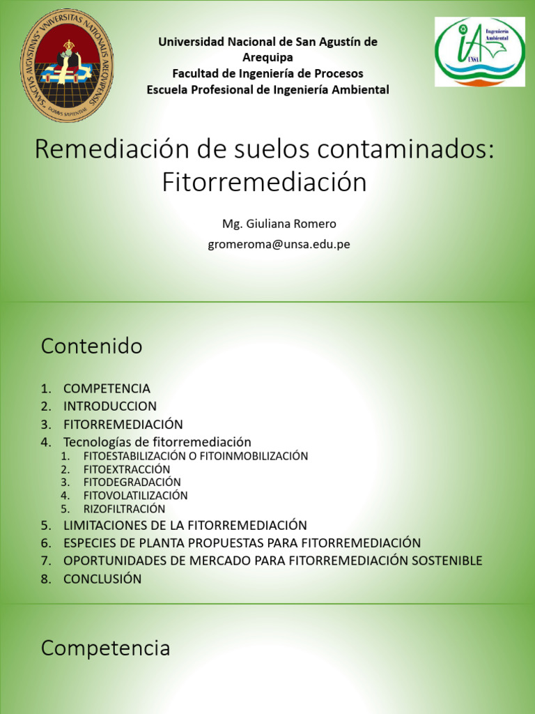 29 Remediación De Suelos Contaminados Fitorremediacion Pdf