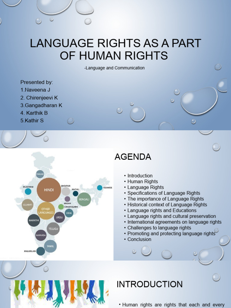 Language Rights and Human Rights Overview | PDF | Minority Group ...
