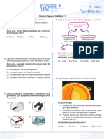 Sınıf - Sınıf Fen Bilimleri Fen Bilimleri: Güneş'in Yapısı Ve Özellikleri - 1