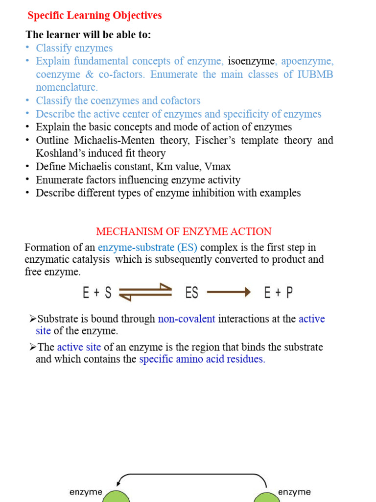 Enzyme mech of action pdf enzyme active site