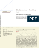 Lysosome As A Regulatory Hub