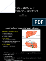 Radioanatomia y Segmentacion Del Higado