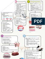 Plan de Tratamiento Periodontal