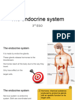 The Endocrine System