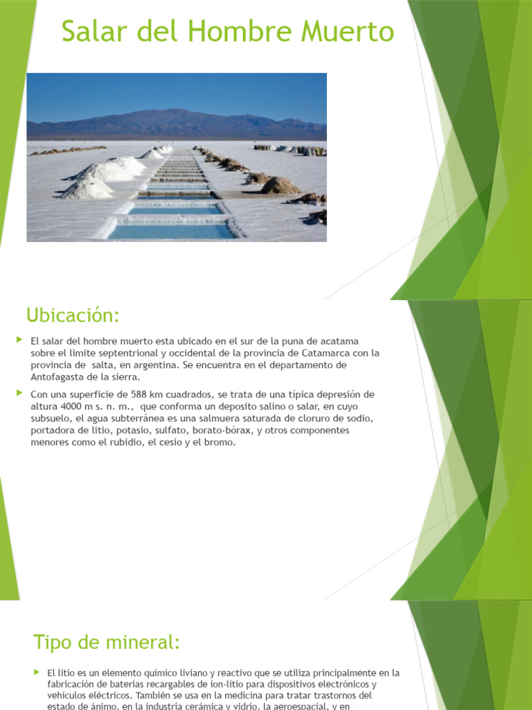 Explotación de Litio en el Salar del Hombre Muerto | PDF | Naturaleza ...