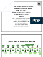 Línea Del Tiempo Del Desarrollo de La Bioética.