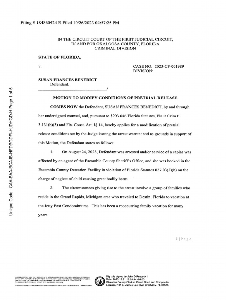 Susan Motion To Modify Redacted | PDF