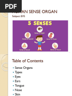 Class 5 PPT On Human Sense Organ