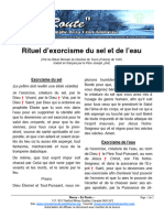 Rituel D Exorcisme Du Sel Et de L Eau