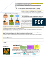 Actividades Intensificadoras Diciembre 4 Grado 2023